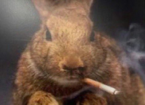 An edited photo of a cute brown bunny smoking a cigarette.